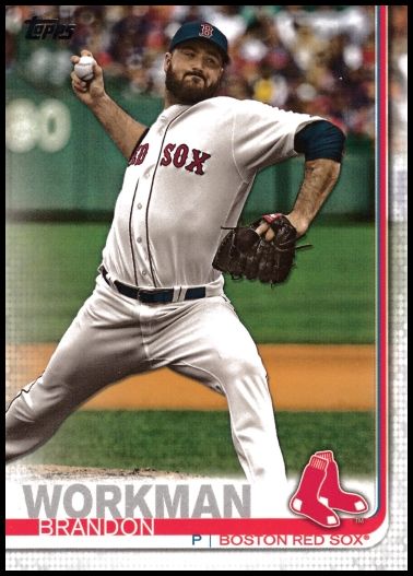 2019T 378 Brandon Workman.jpg